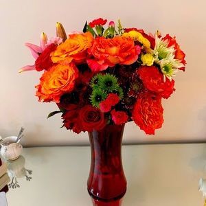 Meet your Posher, Julianne